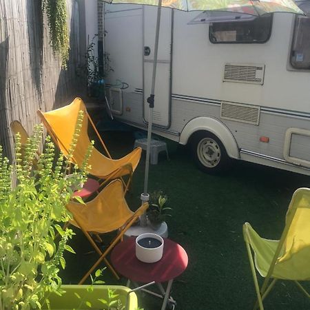 Gardencaravan Near Ghent In Green Area Gante Exterior foto