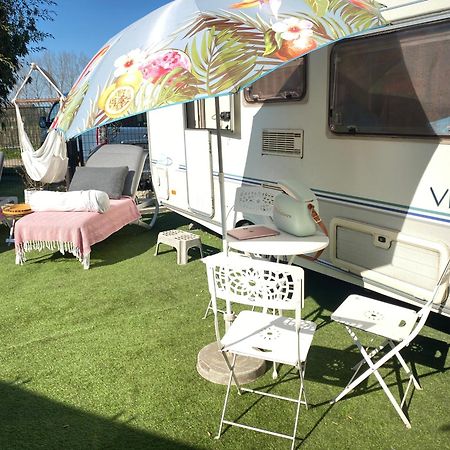 Gardencaravan Near Ghent In Green Area Gante Exterior foto