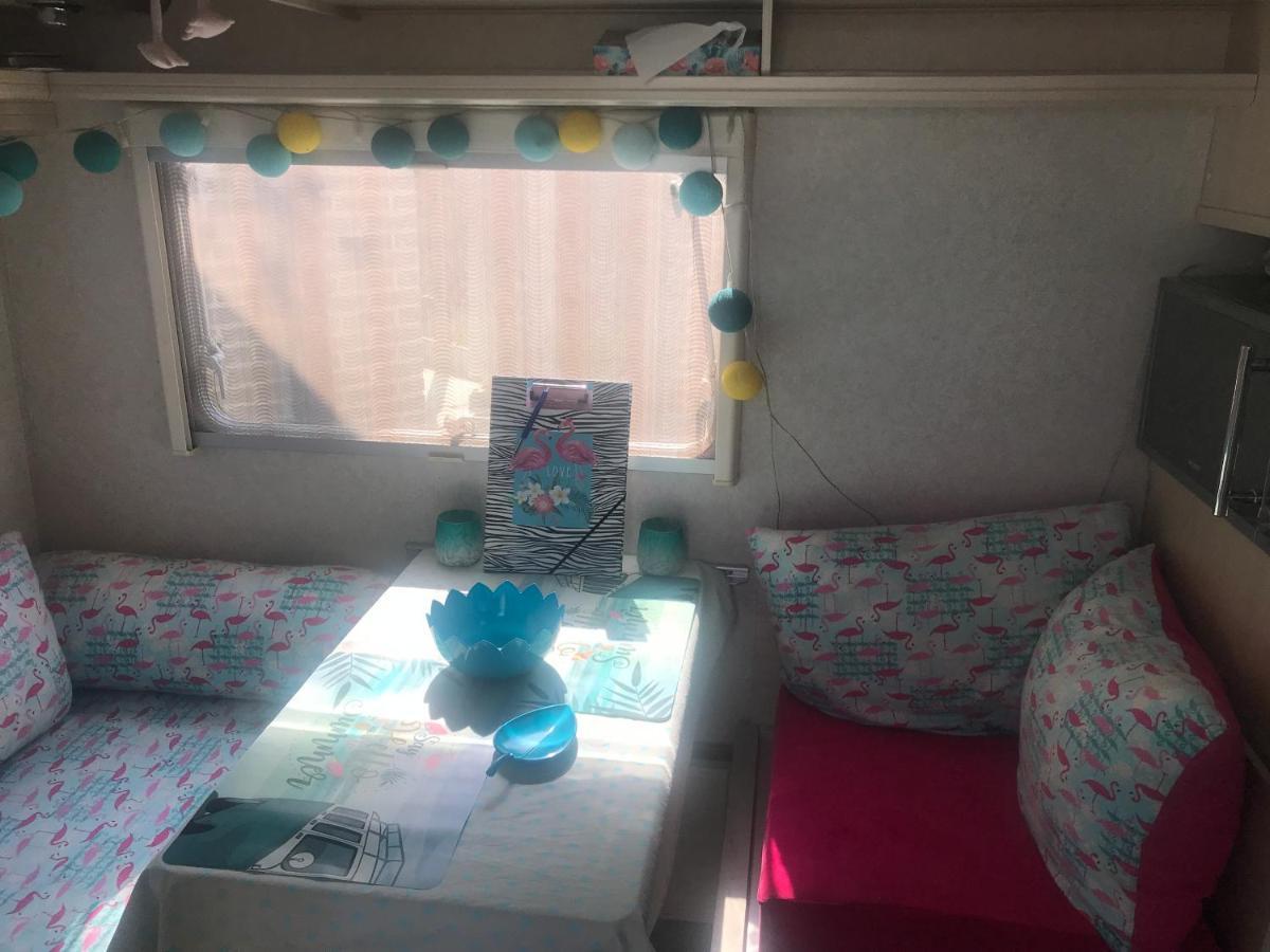 Gardencaravan Near Ghent In Green Area Gante Exterior foto